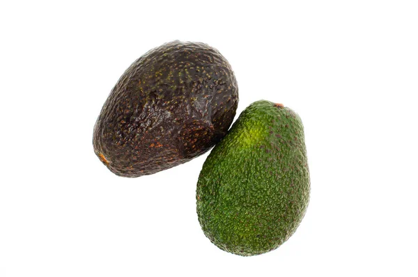 Avocat frais sur fond blanc. — Photo