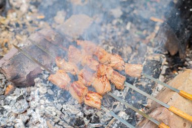 Şiş te ızgara şiş kebabı. Barbeküde pişirilen biftek eti. Geleneksel doğu çanak shashlik.
