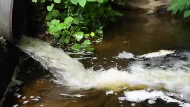 Nehirde Bir Borudan Kirli Akar Boru Kirli Kirlenmiş Suyu Uzaklaştırın — Stok video