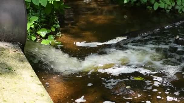 脏水从河里的管道流出 管道排出脏污的水 环境污染 — 图库视频影像