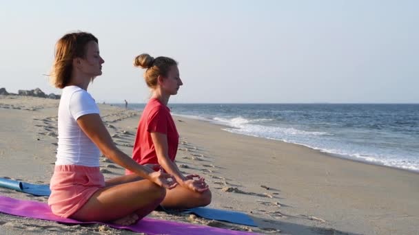 Mujeres Jóvenes Practicando Yoga Playa Tranquila Atardecer Chicas Meditando Sentadas — Vídeo de stock