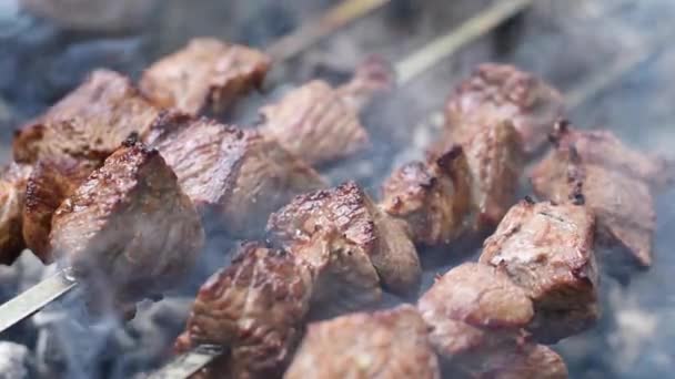 Grilled Shish Kebab Pada Gerakan Lambat Tusuk Daging Sapi Panggang — Stok Video