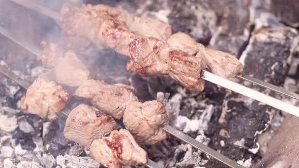 Grilovaný Šat Kebab Pomalé Pohyby Pečené Hovězí Maso Při Grilování — Stock video