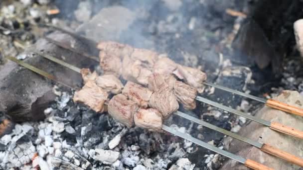 Gegrilde Shish Kebab Spies Slow Motion Geroosterd Rundvlees Gekookt Barbecue — Stockvideo