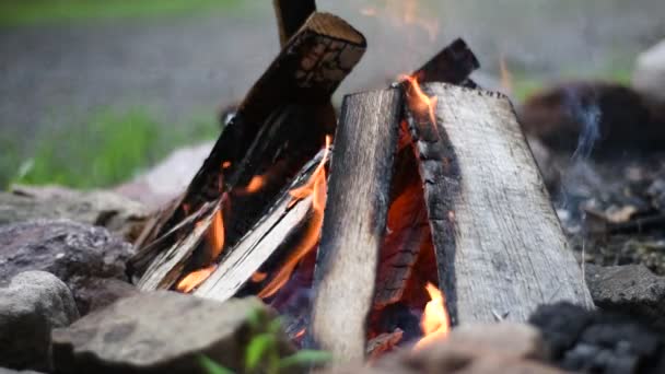 Close Bonfire Flames Camping Fire Slow Motion Burning Firewood Beautiful — Stock Video