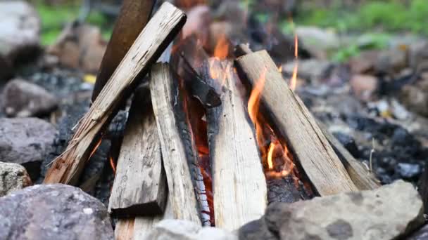 特写篝火的野营火 燃烧的柴火 美丽的户外篝火 — 图库视频影像
