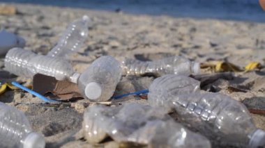 Plaj hattını temizleyen gönüllüler grubu. İnsanlar harekete geçirir ve çantaya plastik bir şişe atar. Gönüllüler deniz kıyısına çöp atıyor. Güvenli ekoloji konsepti.