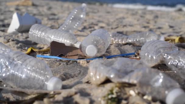 一群志愿者清理海滩线 人们举起一个塑料瓶 扔进袋子里 志愿者们在海边清理垃圾 安全生态概念 — 图库视频影像