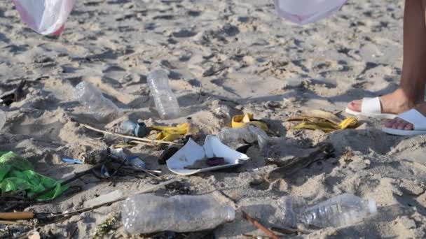 Grupo Voluntários Limpando Linha Praia Pessoas Levantam Jogam Uma Garrafa — Vídeo de Stock