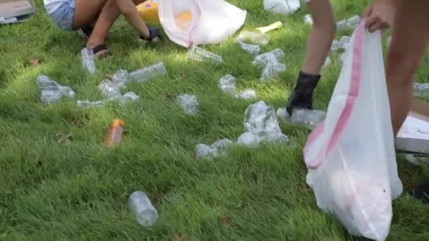 Добровольцы Убирают Мусор Парке Люди Собирают Пластик Бутылки Траве Загрязнение — стоковое видео