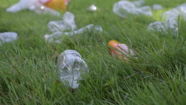 ボランティアは公共の公園でゴミを掃除しています 草からペットボトルを手に取り 環境汚染 生態学的問題 — ストック動画