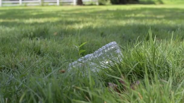Voluntario Está Limpiando Basura Parque Público Mujer Recogiendo Mano Botella — Vídeo de stock