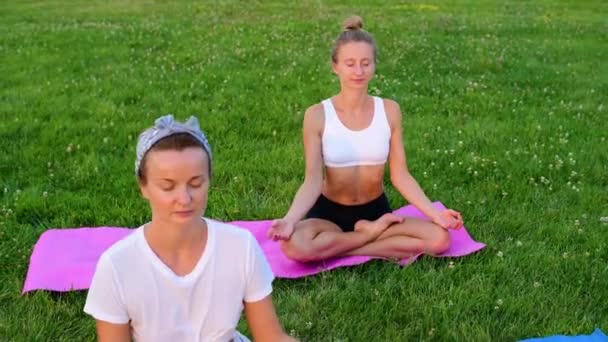 Gente Practicando Yoga Sobre Hierba Parque Chicas Meditando Sentadas Loto — Vídeo de stock