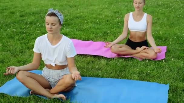 Människor Tränar Yoga Gräs Parken Flickor Mediterar Sittande Lotus Pose — Stockvideo