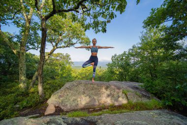Ağaçta duran yoga yapan genç kadın doğayla açık havada uyum uyguluyor.