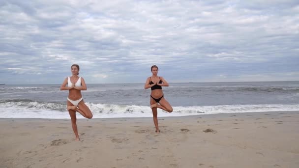 年轻女性在沙滩上慢动作练习瑜伽 美丽的女孩正在做瑜伽在海边的树姿势 — 图库视频影像
