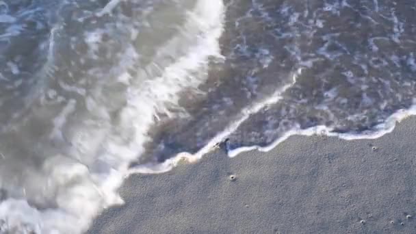 Inscriptie 2019 Het Zand Wordt Weggespoeld Door Zeegolf Gelukkig Nieuwjaar — Stockvideo