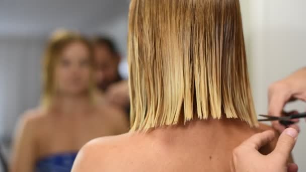 Coiffeur Cisaille Une Femme Aux Cheveux Blonds Haircut Gros Plan — Video