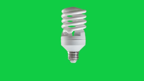 Vídeo Animación Bombilla Eléctrica Fluorescente Aislada Pantalla Verde — Vídeo de stock