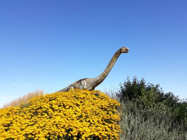 brontosaurus uzun boyun dinozor sürüngen vahşi jurassic park hazır