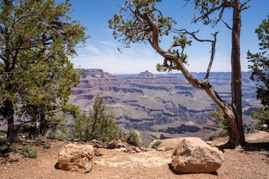 Beyaz kaya ve Büyük Kanyon manzarası Shoshone Point, Arizona, ABD 'den.