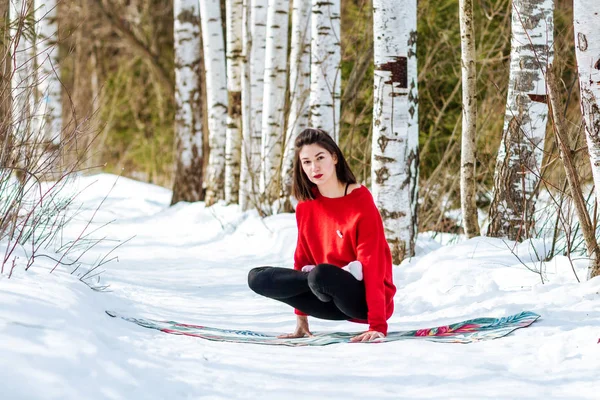 Йога в снегу. Девушка практикует йогу в парке. Время года зима. Заснеженные деревья . — стоковое фото