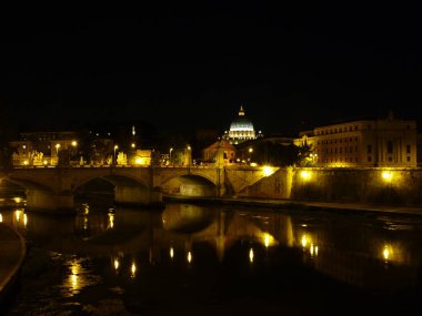 Bir ağaç yaprak siyah ve beyaz üzerinde yağmur damlaları