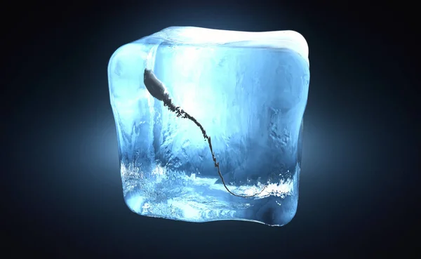Illustration Sperm Cell Frozen Ice Cube — Stock Photo, Image