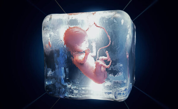 3d illustration of a cryopreserved fetus frozen into ice cube