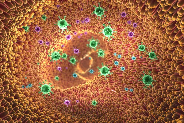 Illustration Einer Mikroskopischen Nahaufnahme Die Viren Und Darmzotten Verdauungstrakt Zeigt — Stockfoto