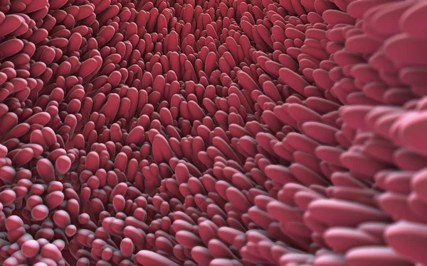 Ilustração Fechamento Microscópico Vilosidades Intestinais — Fotografia de Stock