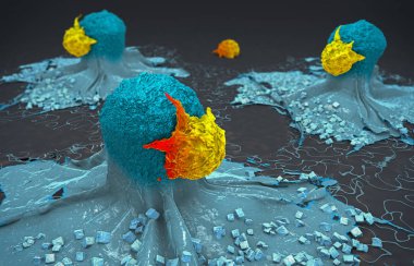 3D çizimi bir kanser hücresi saldırıya ve lenfositler tarafından öldürüldü