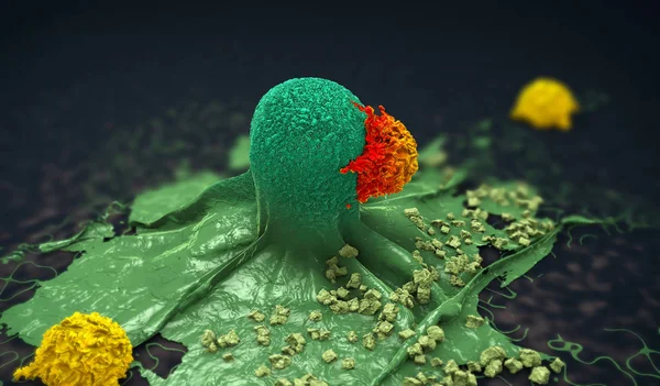Иллюстрация Раковой Клетки Атакованной Убитой Лимфоцитами — стоковое фото