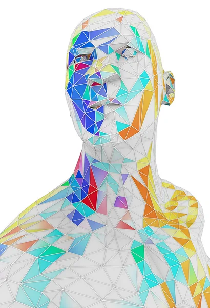 Illustrazione Una Persona Composta Diverse Aree Colorate Stile Poli Basso — Foto Stock