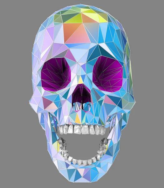 彩色低聚面人体颅骨的图解 — 图库照片