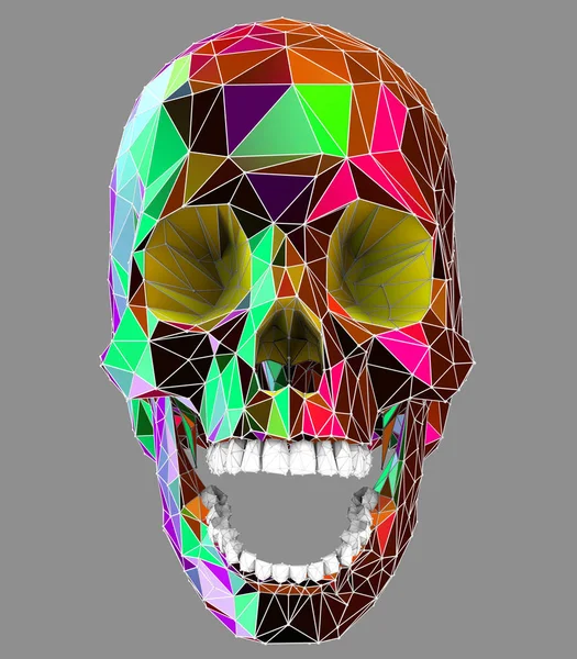 bir insan kafatası renkli düşük poli yüzeyi ile 3D çizimi