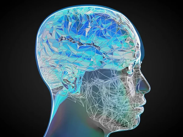 Illustration Transparent Mänsklig Skalle Med Färgglada Polygon Stylad Brain3D Illustration — Stockfoto