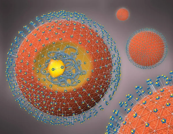 Illustration Cross Section Hepatitis Pathogen Rns Cell Nucleus Receptors — Stock Photo, Image