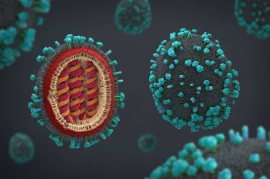 3D kesit bir grip patojenler bilimsel olarak doğru bir temsili resmi