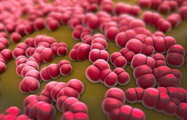 Menenjit patojenler yüzlerce 3D çizimi menigococcus denilen