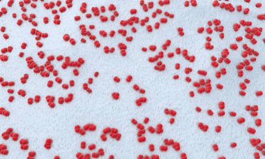 Menenjit patojenler yüzlerce 3D çizimi menigococcus denilen