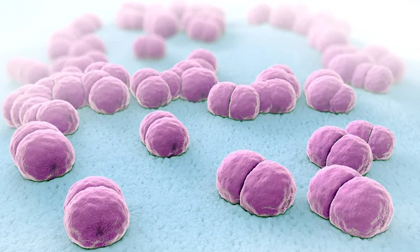 Menenjit patojenler yüzlerce 3D çizimi menigococcus denilen