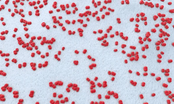 数以百计的脑膜炎病原体被称为 Menigococcus 的例证 — 图库照片