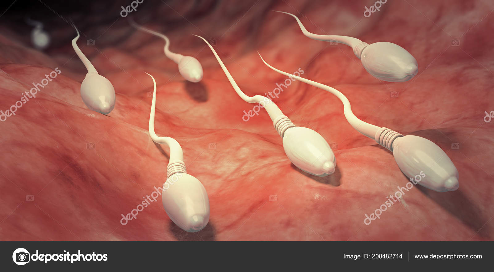 human-sperm-collection
