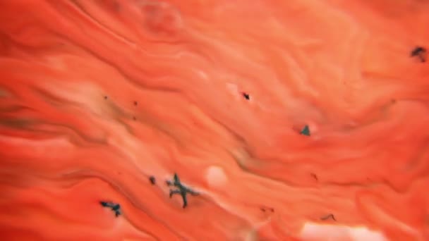 混合在流体中的有色液体创建由渐变和分离形式组成的彩色抽象绘画 — 图库视频影像