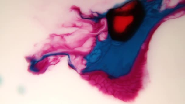 Colored Liquids Mixed Together Fluid Creating Colorful Abstract Painting Consisting — Stock Video