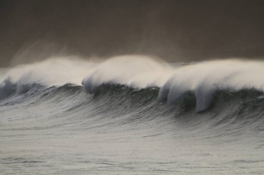 Sahilde kırılan dalgalar, sprey, beyaz su ve ışık suyun yüzeyine yansıyor..