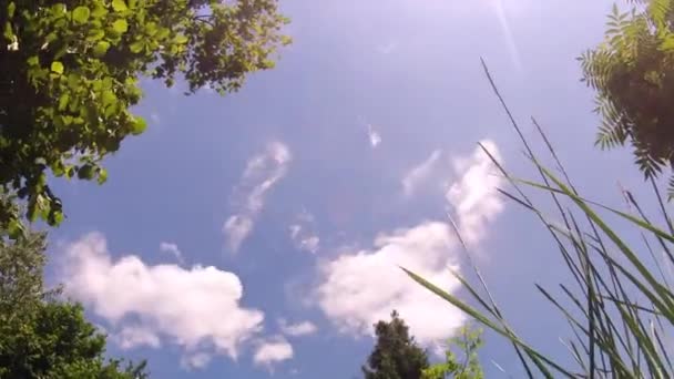 Timelapse Nuvens Movimento Rápido Céu Azul Com Câmera Pan Esquerda — Vídeo de Stock