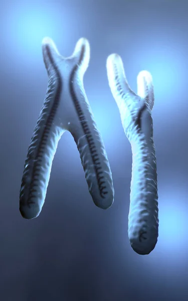 Normál Kinézetű Kék Színű Átlátható Kromoszómák Illusztráció — Stock Fotó
