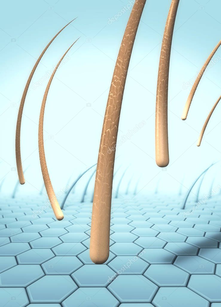 3d illustration of several falling hairs that detach from the skin called hair loss